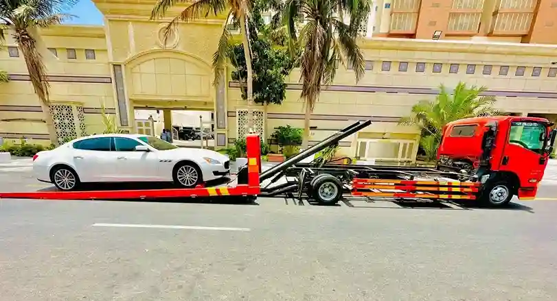 2 سطحة القنفذة
